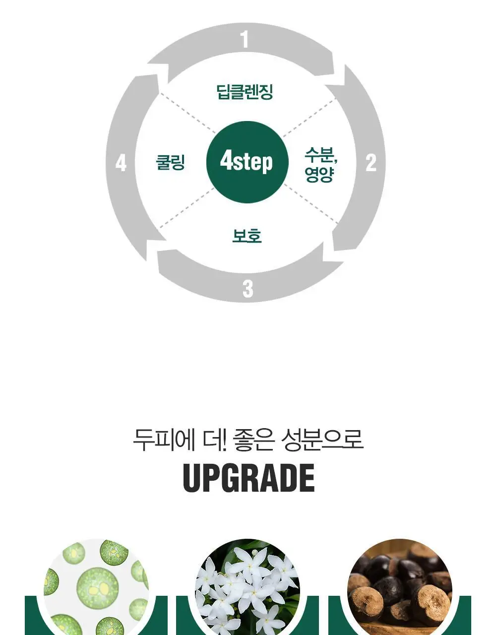 [변우석 Pick]다슈 안티헤어로스 허브 헤어토닉 150ml (탈모증상완화도움 기능성) 상세페이지 10
